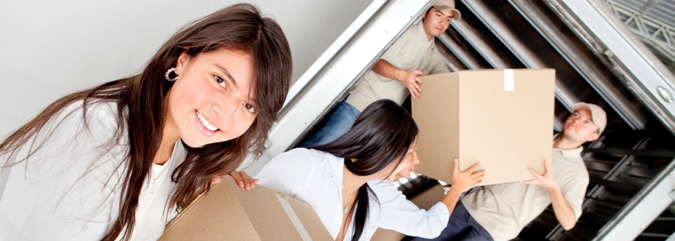 Professional Removalists West Hoxton